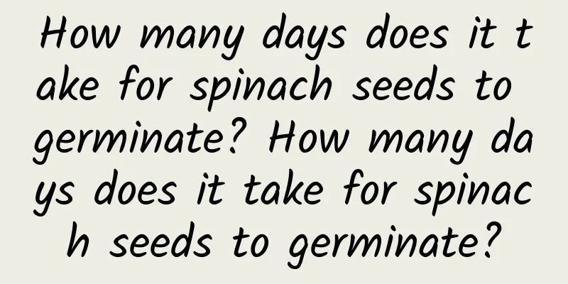 How many days does it take for spinach seeds to germinate? How many days does it take for spinach seeds to germinate?