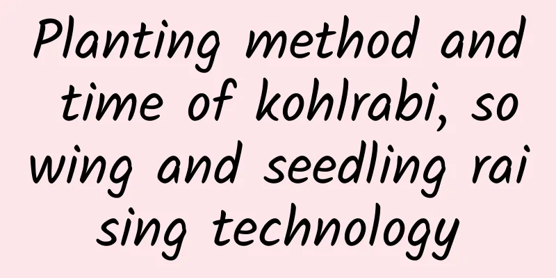 Planting method and time of kohlrabi, sowing and seedling raising technology