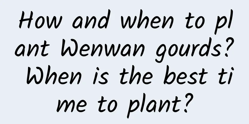 How and when to plant Wenwan gourds? When is the best time to plant?