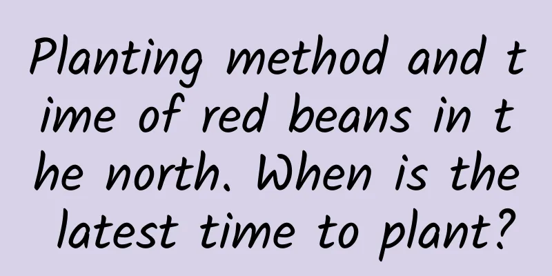 Planting method and time of red beans in the north. When is the latest time to plant?