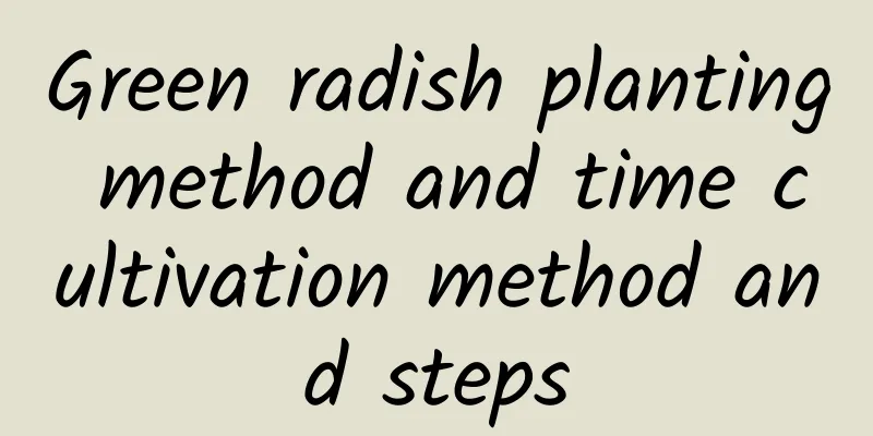 Green radish planting method and time cultivation method and steps