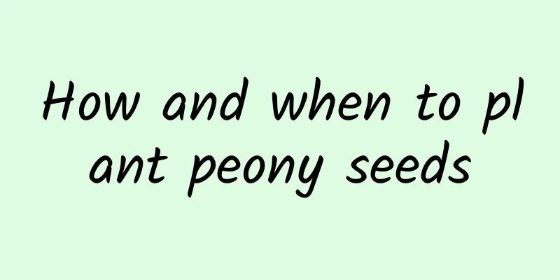 How and when to plant peony seeds