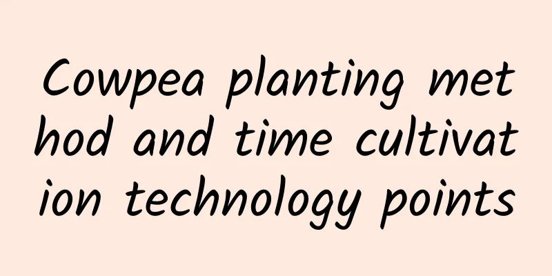 Cowpea planting method and time cultivation technology points