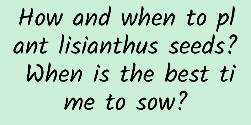 How and when to plant lisianthus seeds? When is the best time to sow?