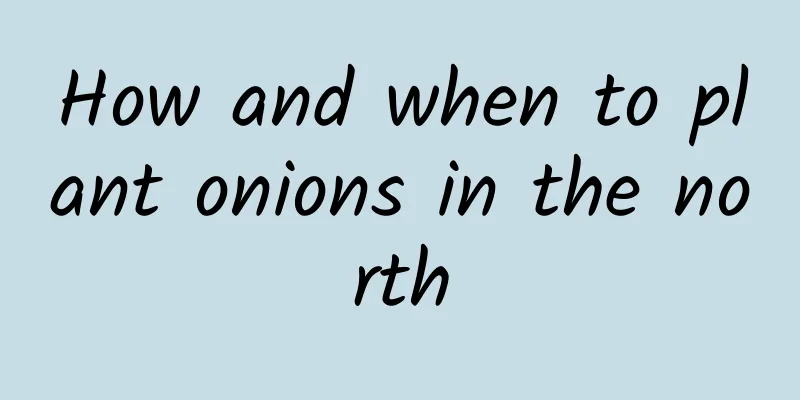 How and when to plant onions in the north