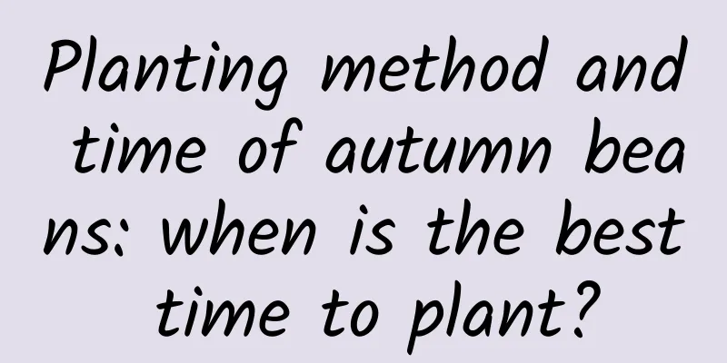 Planting method and time of autumn beans: when is the best time to plant?