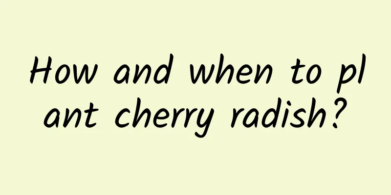 How and when to plant cherry radish?