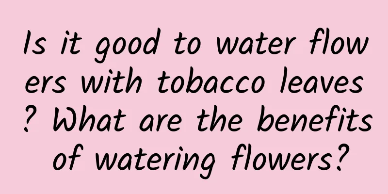 Is it good to water flowers with tobacco leaves? What are the benefits of watering flowers?