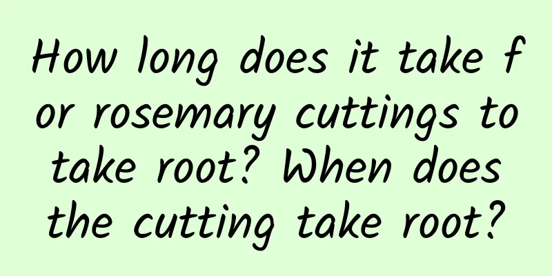 How long does it take for rosemary cuttings to take root? When does the cutting take root?