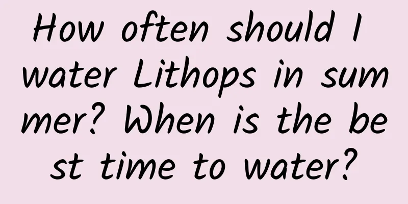 How often should I water Lithops in summer? When is the best time to water?