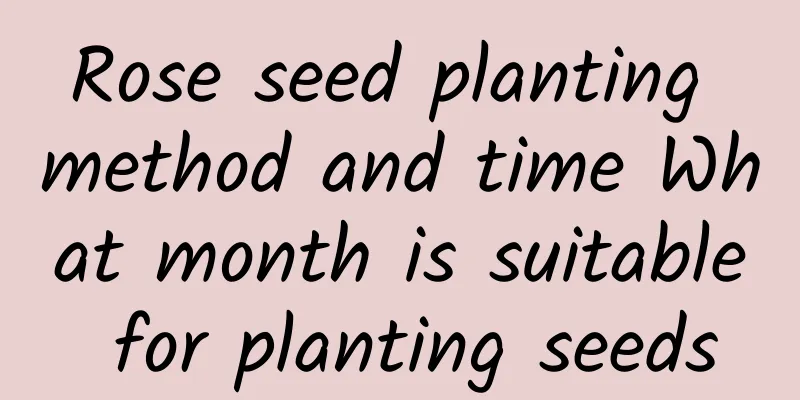 Rose seed planting method and time What month is suitable for planting seeds