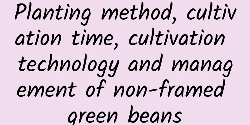 Planting method, cultivation time, cultivation technology and management of non-framed green beans
