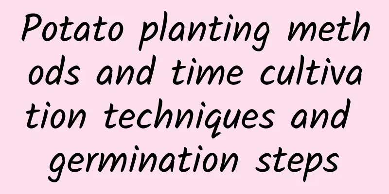 Potato planting methods and time cultivation techniques and germination steps