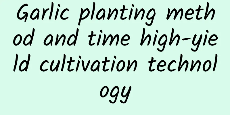 Garlic planting method and time high-yield cultivation technology