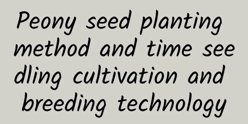 Peony seed planting method and time seedling cultivation and breeding technology