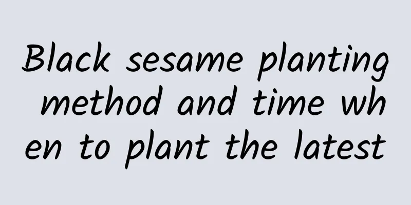 Black sesame planting method and time when to plant the latest