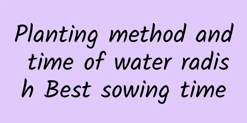 Planting method and time of water radish Best sowing time