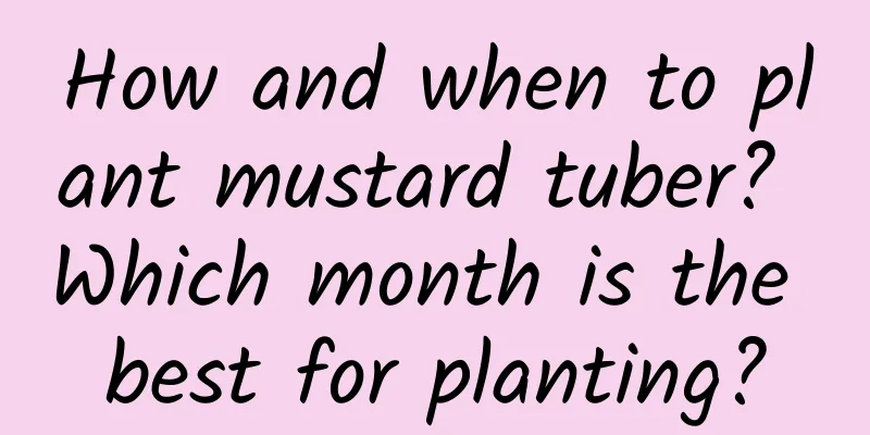 How and when to plant mustard tuber? Which month is the best for planting?