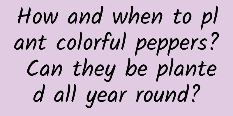 How and when to plant colorful peppers? Can they be planted all year round?