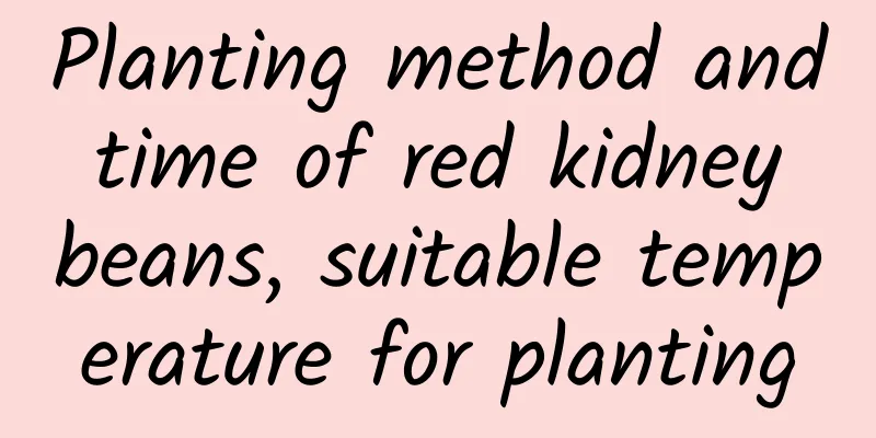 Planting method and time of red kidney beans, suitable temperature for planting