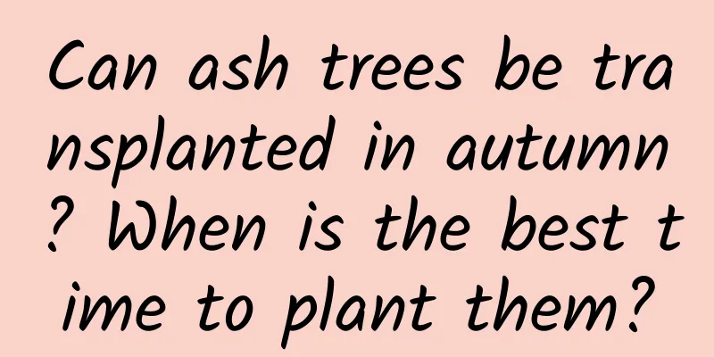 Can ash trees be transplanted in autumn? When is the best time to plant them?
