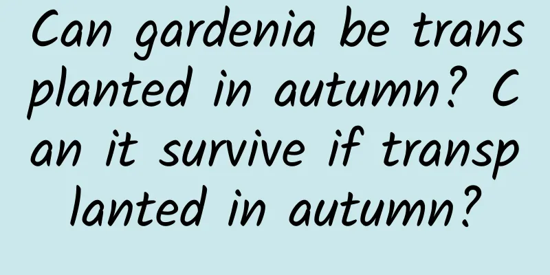 Can gardenia be transplanted in autumn? Can it survive if transplanted in autumn?