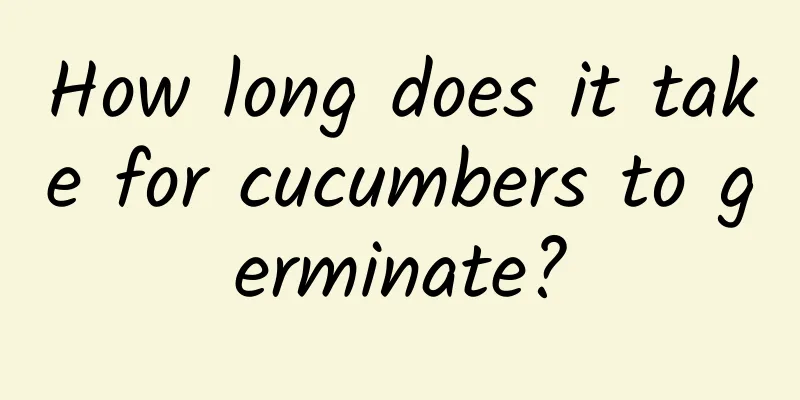 How long does it take for cucumbers to germinate?