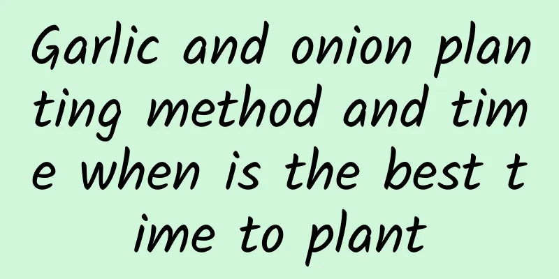 Garlic and onion planting method and time when is the best time to plant