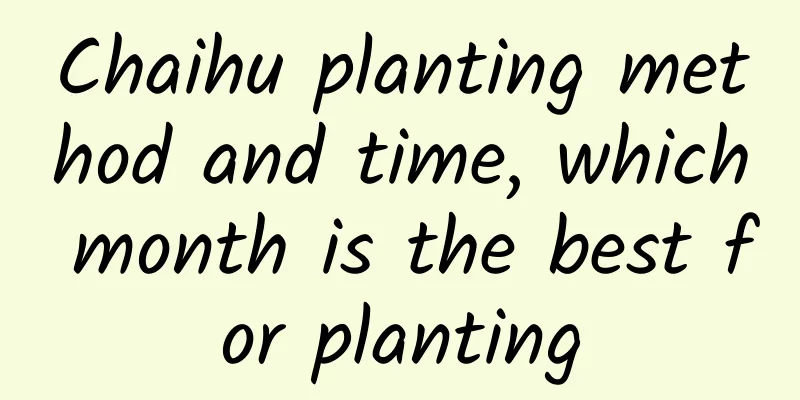 Chaihu planting method and time, which month is the best for planting