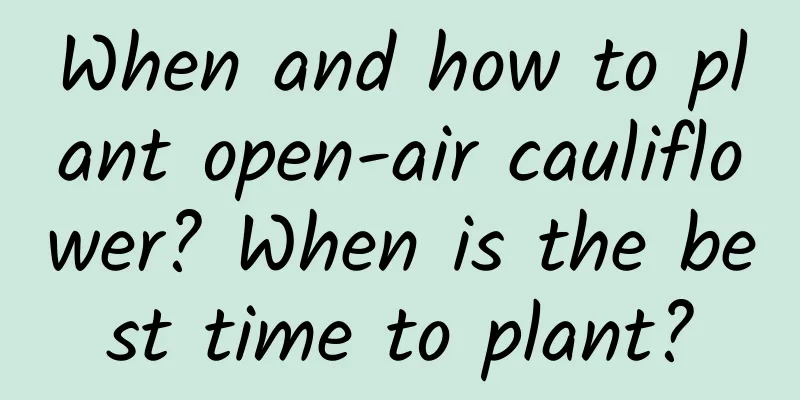 When and how to plant open-air cauliflower? When is the best time to plant?