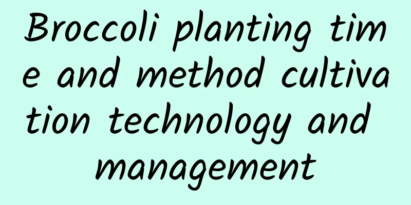 Broccoli planting time and method cultivation technology and management