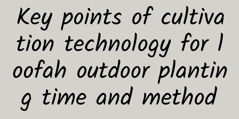 Key points of cultivation technology for loofah outdoor planting time and method
