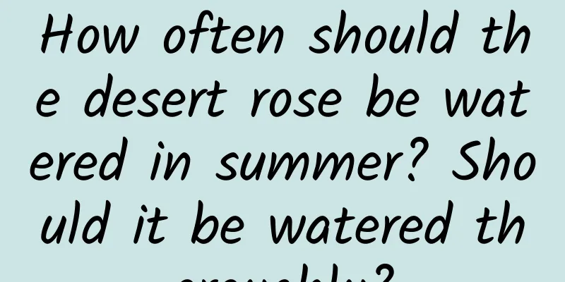 How often should the desert rose be watered in summer? Should it be watered thoroughly?