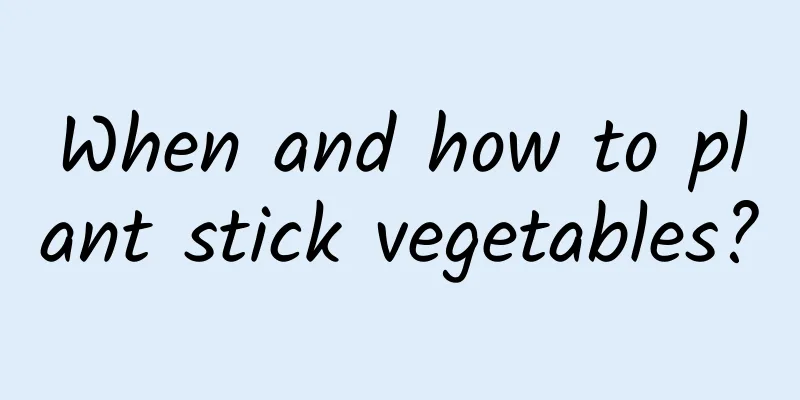 When and how to plant stick vegetables?