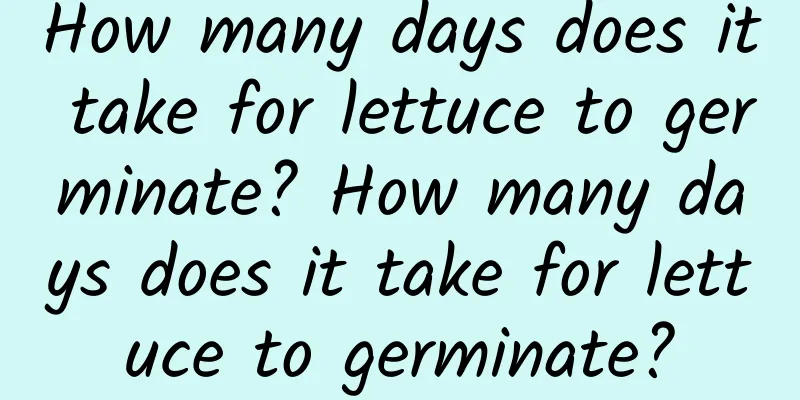How many days does it take for lettuce to germinate? How many days does it take for lettuce to germinate?