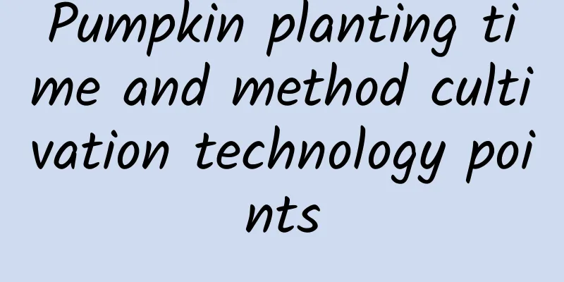 Pumpkin planting time and method cultivation technology points
