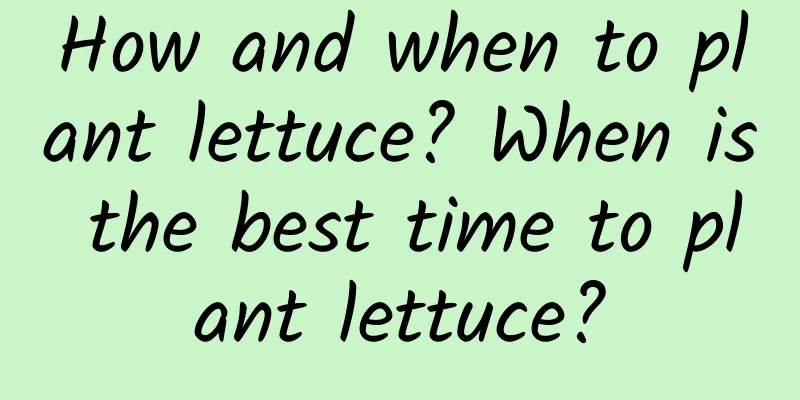 How and when to plant lettuce? When is the best time to plant lettuce?