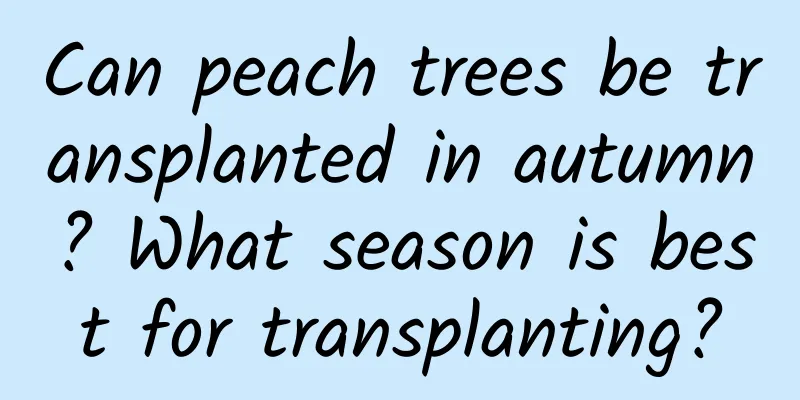 Can peach trees be transplanted in autumn? What season is best for transplanting?