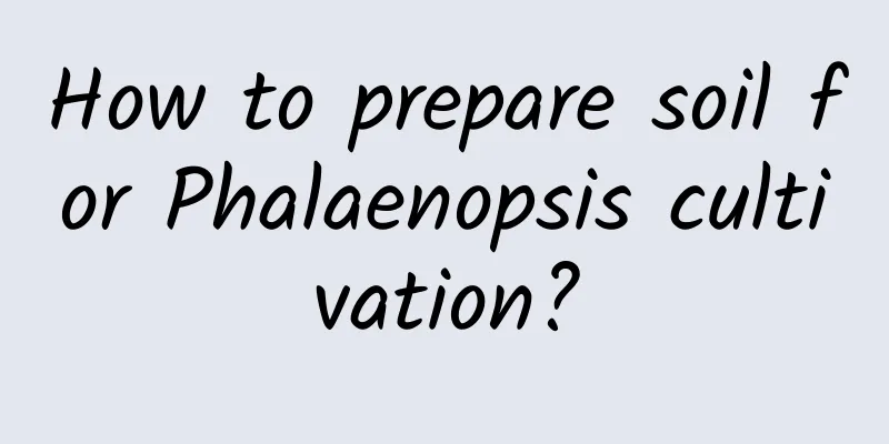How to prepare soil for Phalaenopsis cultivation?