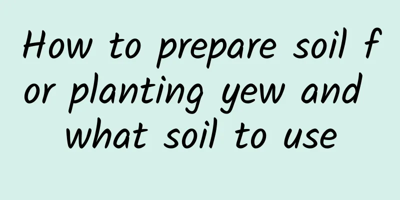 How to prepare soil for planting yew and what soil to use