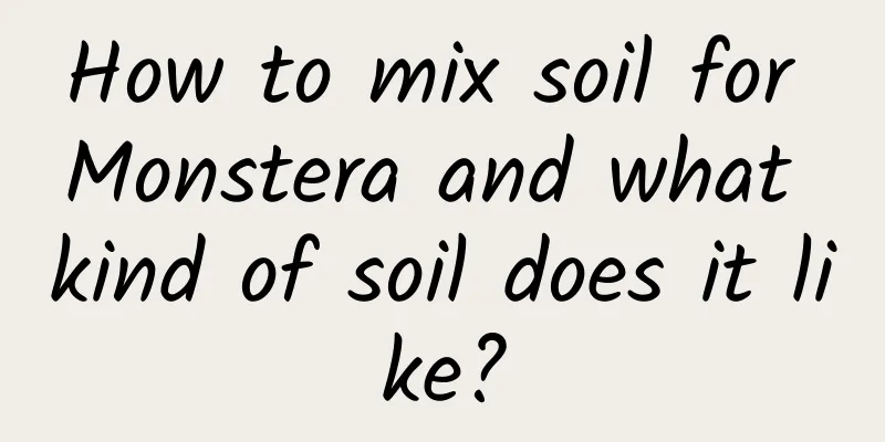 How to mix soil for Monstera and what kind of soil does it like?