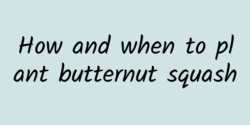 How and when to plant butternut squash