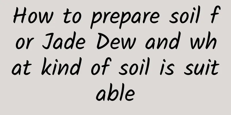 How to prepare soil for Jade Dew and what kind of soil is suitable