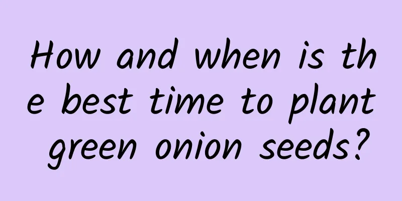 How and when is the best time to plant green onion seeds?