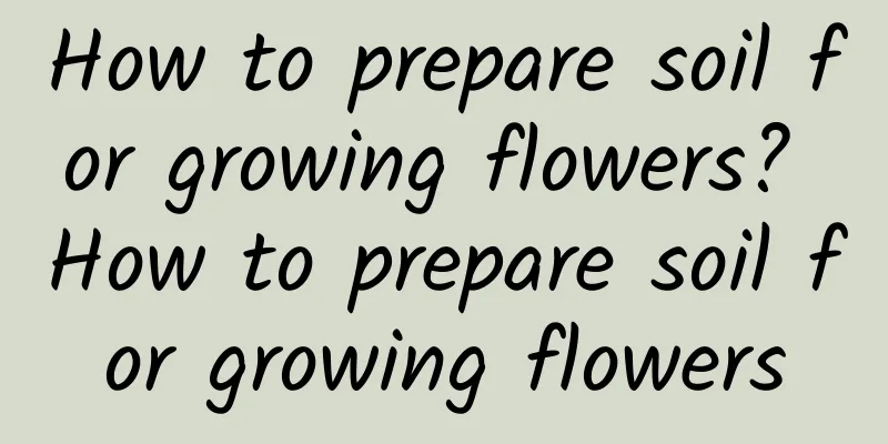 How to prepare soil for growing flowers? How to prepare soil for growing flowers