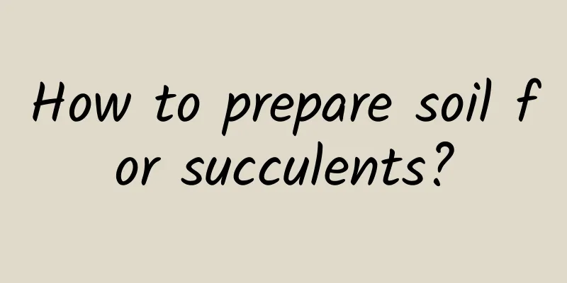 How to prepare soil for succulents?
