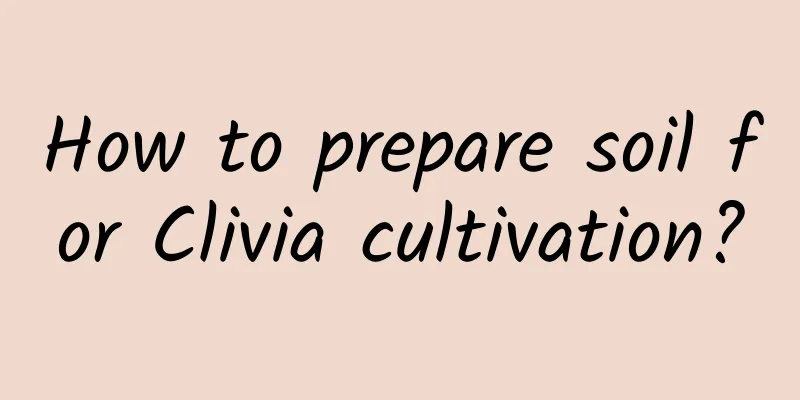 How to prepare soil for Clivia cultivation?