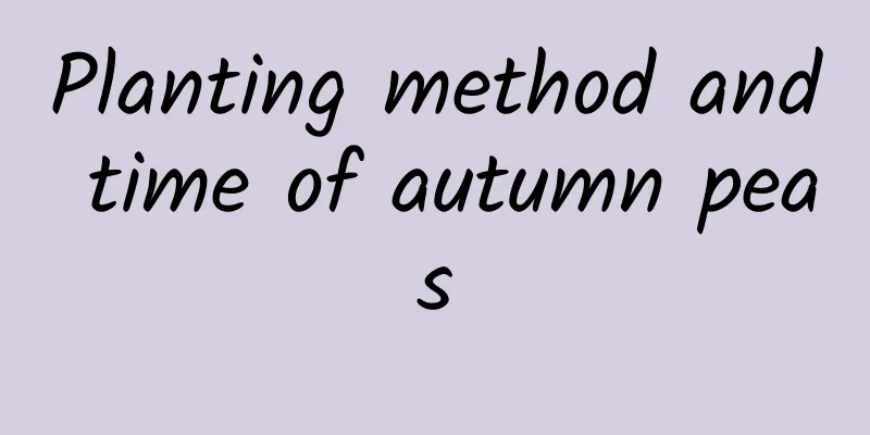 Planting method and time of autumn peas