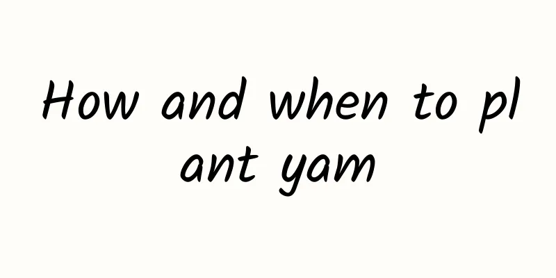 How and when to plant yam