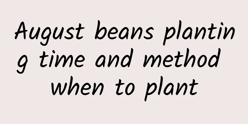 August beans planting time and method when to plant